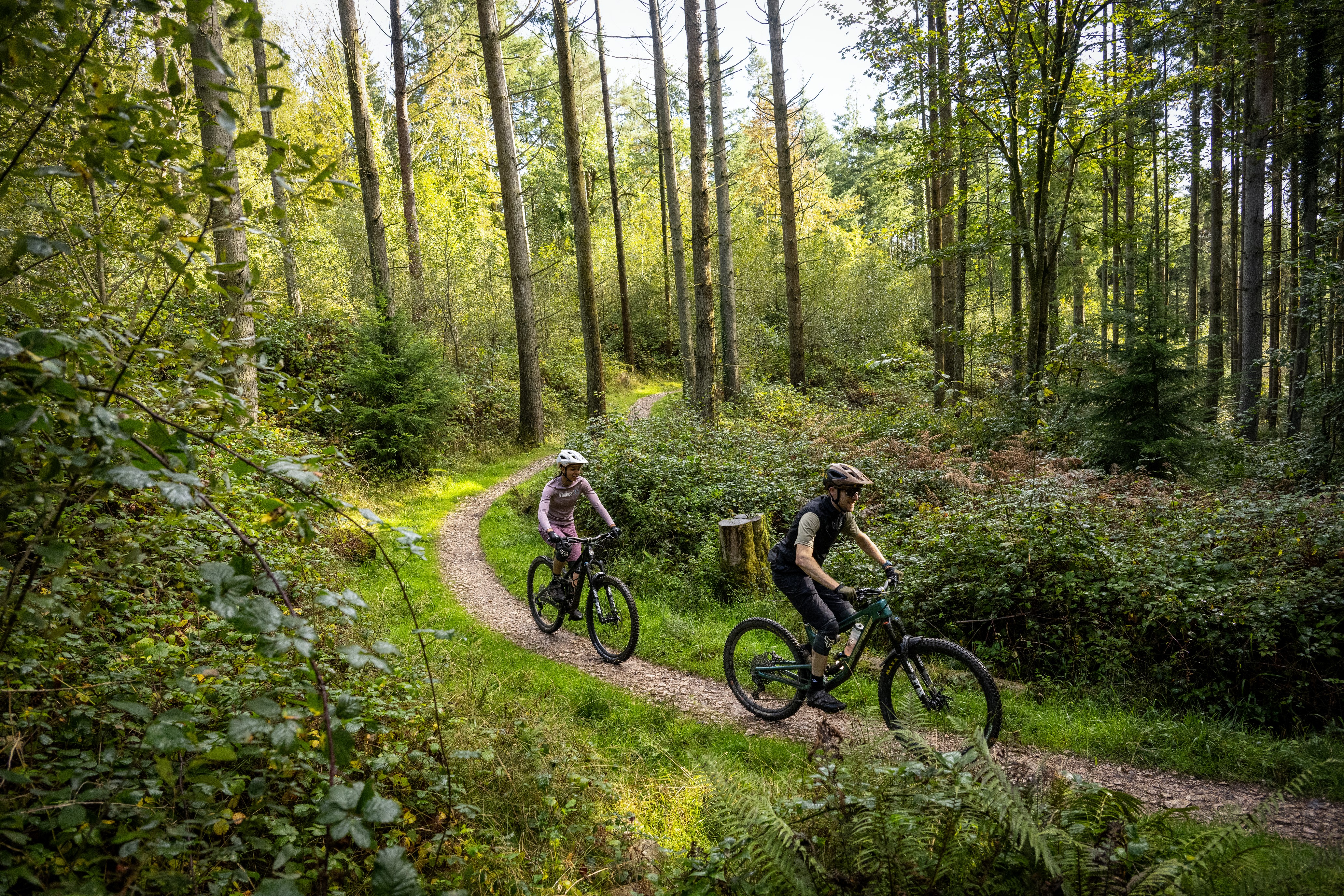 Spicers trail at Haldon Forest Park Forestry England